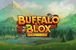 11422 buffalo blox gigablox